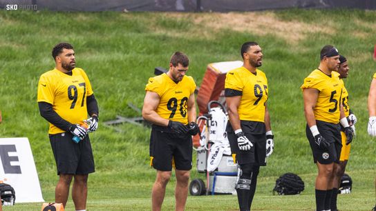 Steelers Cam Heyward TJ Watt Chris Wormley Alex Highsmith