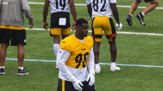 Steelers DeMarvin Leal