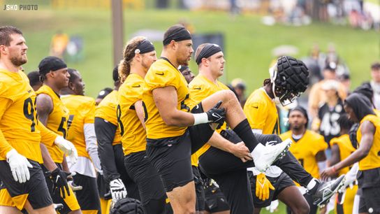 Steelers LBs