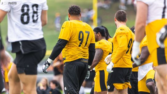 Steelers Cam Heyward Devin Bush TJ Watt