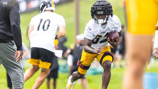 Steelers WR Steven Sims