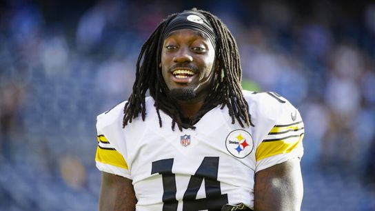 Steelers Sammie Coates