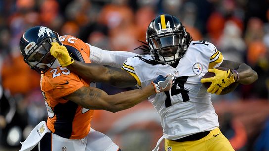 Anatomy Of A WR - Sammie Coates (Steeler Blog Posts)