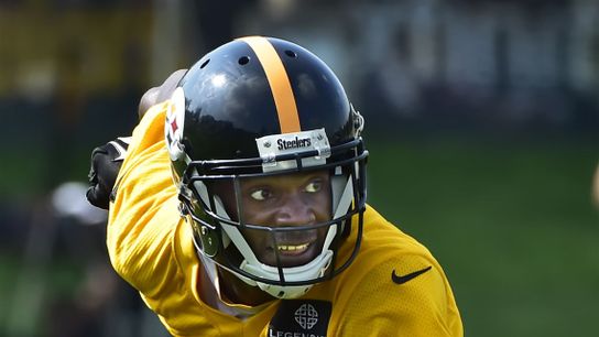 Pittsburgh Steelers Cortez Allen Pittsburgh Steelers Cortez Allen