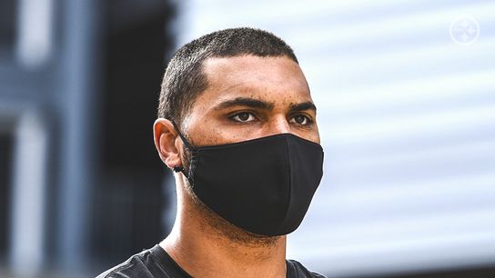 Chris Wormley Speaks Out on Time with Devin Bush (Steelers News)