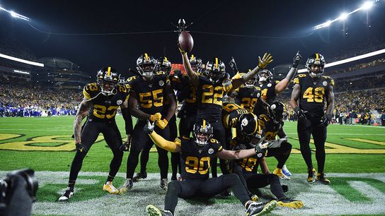 Considering Roles Within the Steelers' Defense (Steelers News)