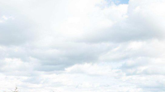 Steelers Acrisure Stadium Dalton Keane