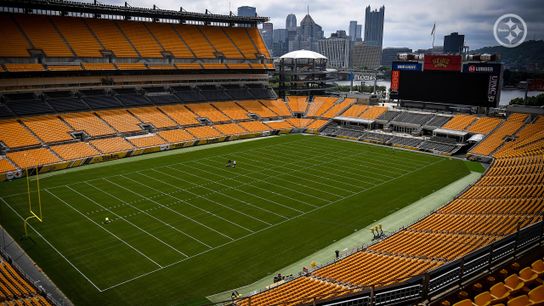 Steelers Partner With Unibet (Betting)