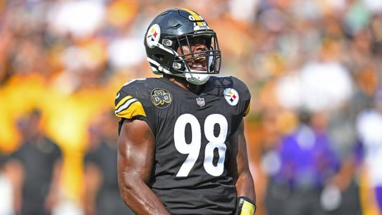 Steelers Vince Williams