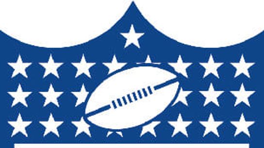 Roger Goodell Emails Letter to Owners about National Anthem (NFL News)