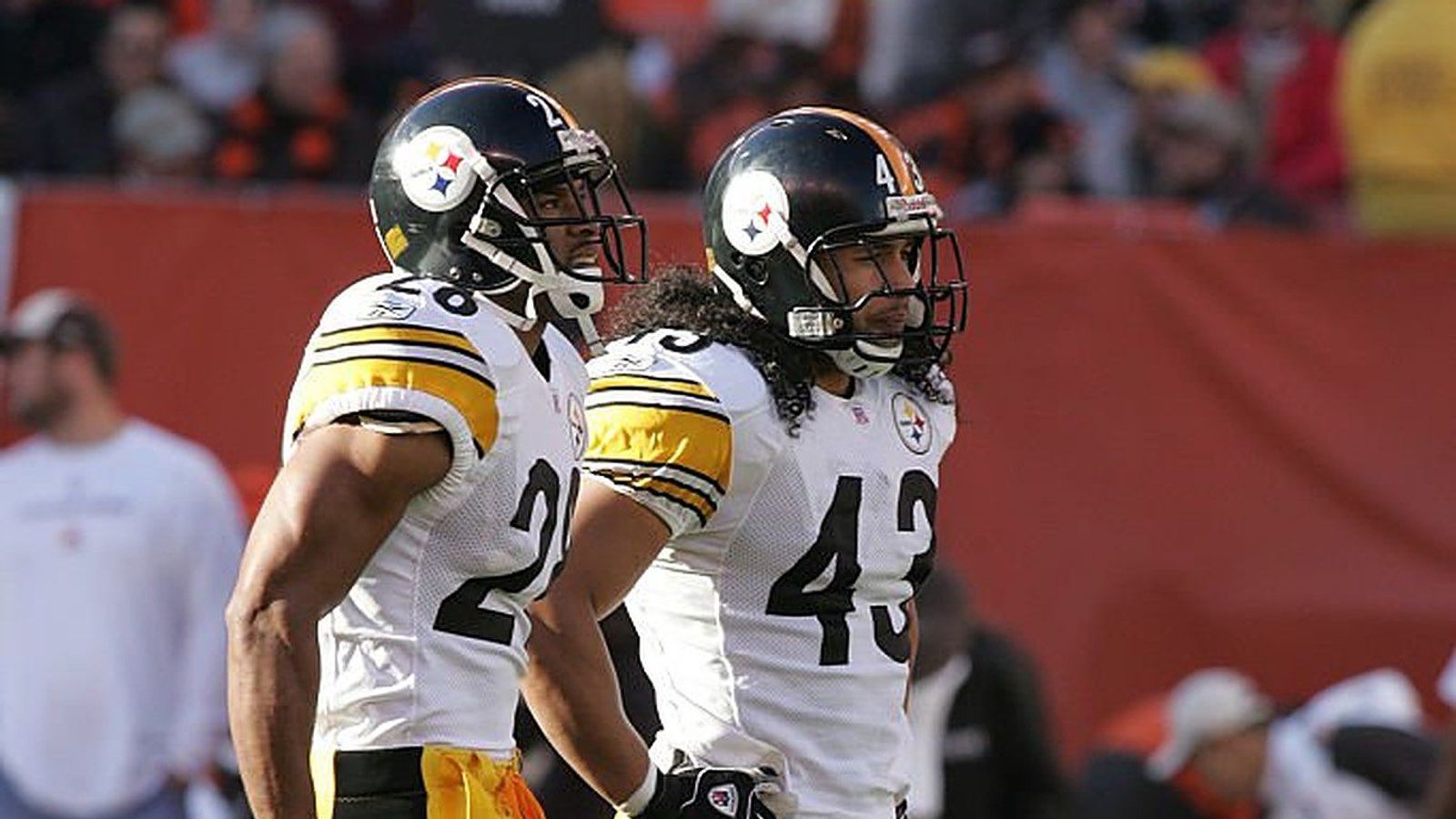 troy polamalu 2004