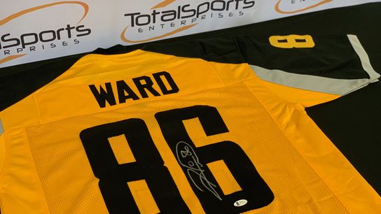 Hines Ward 'Gotham Rogues' Jersey Giveaway ROUND 3! (Giveaways)