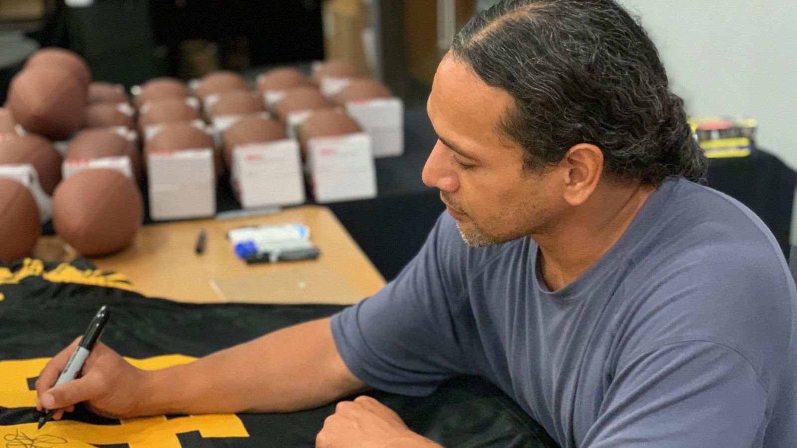polamalu net worth - Ilustrasi 2