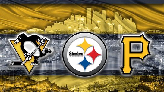Pittsburgh Sports Community Helps Fund COVID-19 Vaccine Research (NFL News)