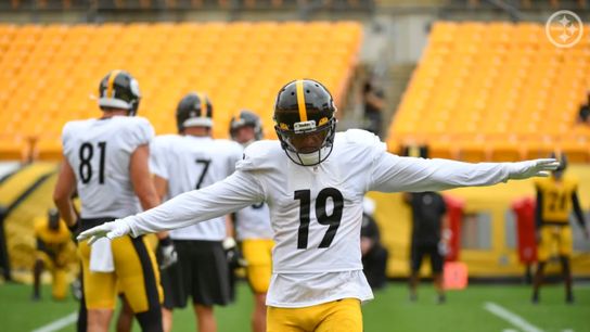 Five Steelers Land on ESPN's Top 100 2020 Players (Steelers News)