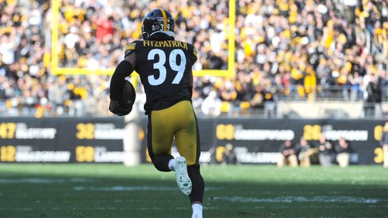 Steelers Minkah Fitzpatrick