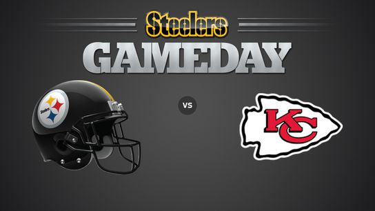Preseason Week 2, What to Watch For (Steelers News)