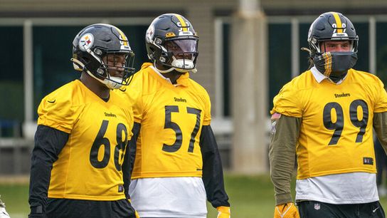 Steelers Massive Competition On Defensive Line Could Result In 1 Starters Release (Steelers Defensive Line)