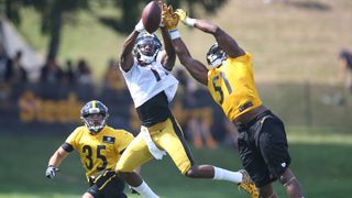 Steven Johnson Re-Signed (Steelers News)