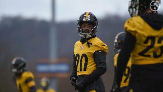 Steelers Week 13 Betting Preview (Steelers News)