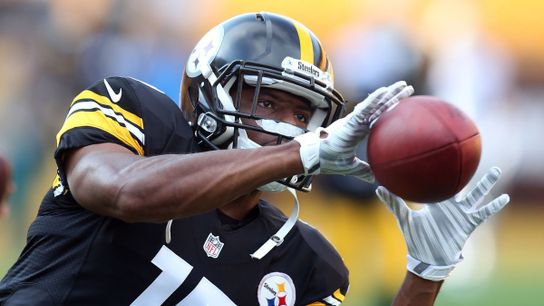 Anatomy of a WR - Marcus Tucker (Steeler Blog Posts)