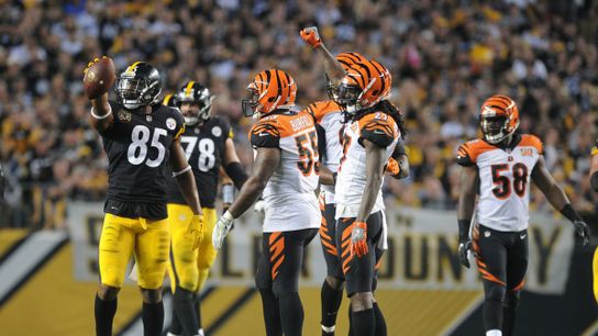 Steelers Trail 17-3 at Halftime (Steelers News)