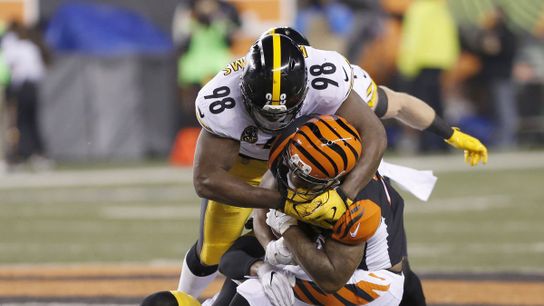 Vince Williams Shares his Struggles (Steelers News)