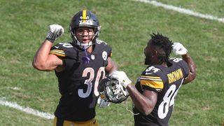 Actively Predicting the Inactive List: Week 17 (Steelers Inactives)