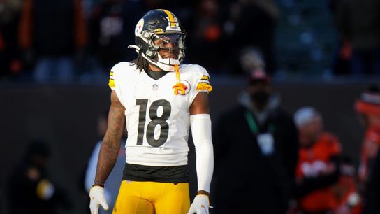 The Steelers will need Johnson to step up this season.