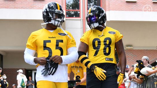 Vince Williams and Devin Bush Get the Nod from Keith Butler (Steelers News)