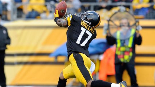 Steelers Mike Wallace