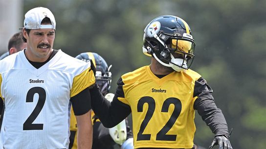 Steelers Facing New Challenge While In Pursuit Of Another Safety (Steelers News)