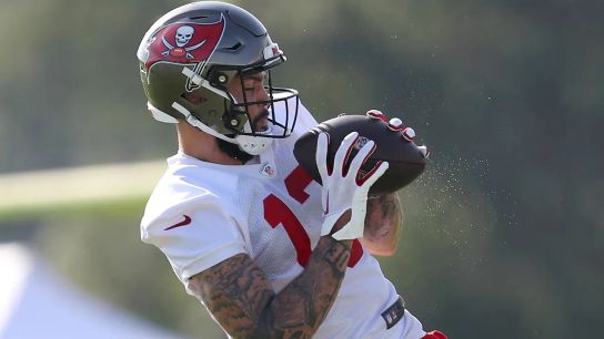 Steelers Have Perfect Price To Sign Mike Evans Revealed (Steelers News)