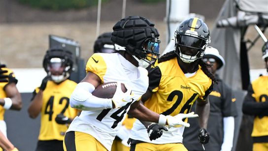 Pittsburgh Steelers Donte Jackson Pittsburgh Steelers Donte Jackson