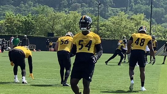 Pittsburgh Steelers Markus Golden