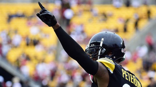 Pittsburgh Steelers Patrick Peterson Pittsburgh Steelers Patrick Peterson