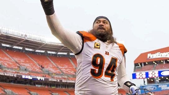 Steelers Domata Peko