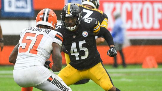 Steelers former FB Roosevelt Nix Steelers former FB Roosevelt Nix