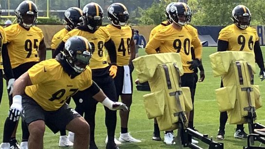 Steelers Add Familiar Face To Defensive Line Depth Chart After Recent Plague Of Injuries. Photo by 247 Sports