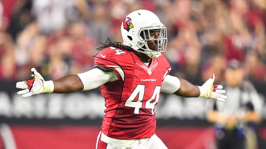 Steelers' Patrick Peterson Praises Significance Of Landing Markus Golden (Markus Golden)