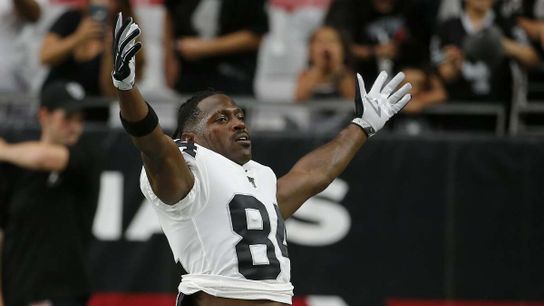 Steelers Antonio Brown