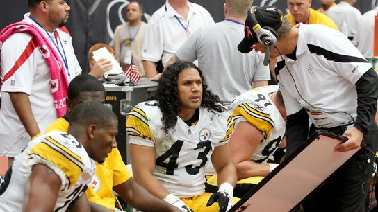 Steelers Ryan Clark Troy Polamalu Steelers Ryan Clark Troy Polamalu