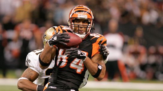 Steelers Bengals TJ Houshmandzadeh Steelers Bengals TJ Houshmandzadeh