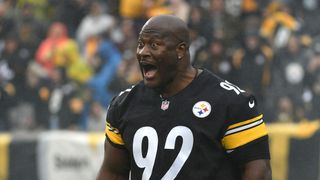 Steelers' James Harrison Sees A Harsh Flaw In Pittsburgh's Playoff Case (Steelers News). Photo by Philip G. Pavely / USA TODAY Sports