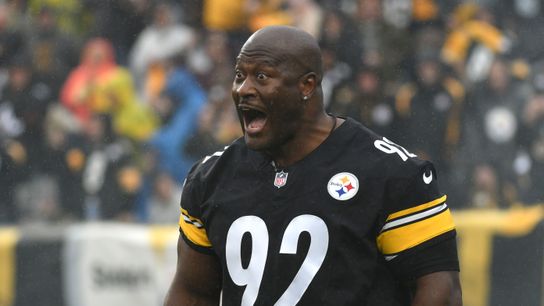 Steelers' James Harrison Sees A Harsh Flaw In Pittsburgh's Playoff Case (Steelers News)