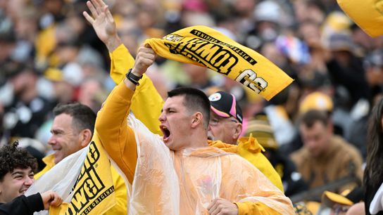 Direct Betting Platforms Explained: How Steelers Fans Can Identify Reliable Websites (Steelers)