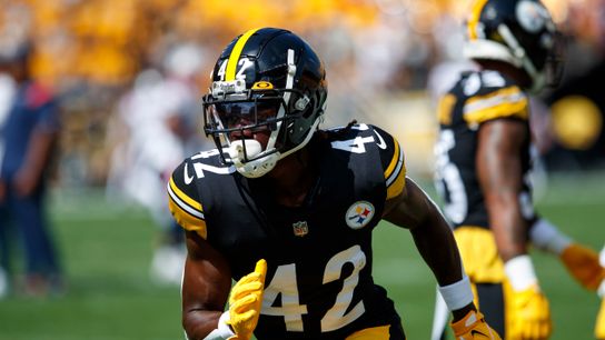 Steelers James Pierre Steelers James Pierre