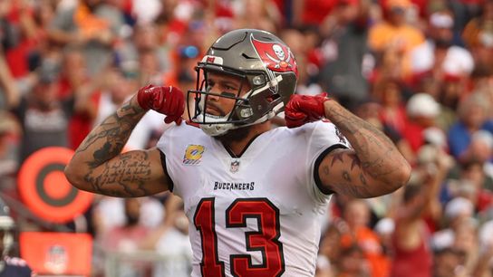 Steelers Mike Evans Steelers Mike Evans