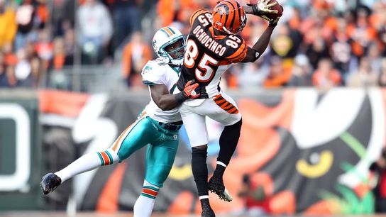 Former Cincinnati Bengals receiver Chad Johnson makes a catch against the Miami Dolphins Steelers Bengals Chad Johnson