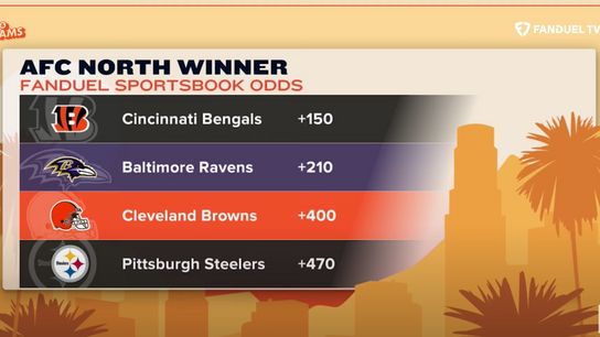 Steelers' predicted to lose the AFC North Steelers' predicted to lose the AFC North